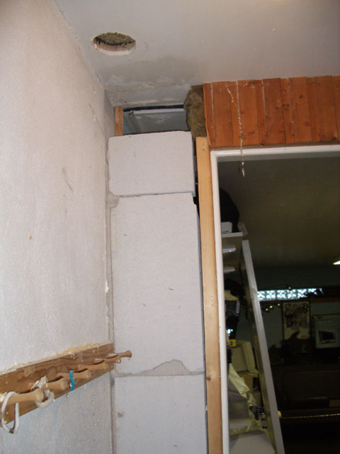 IMGP0561