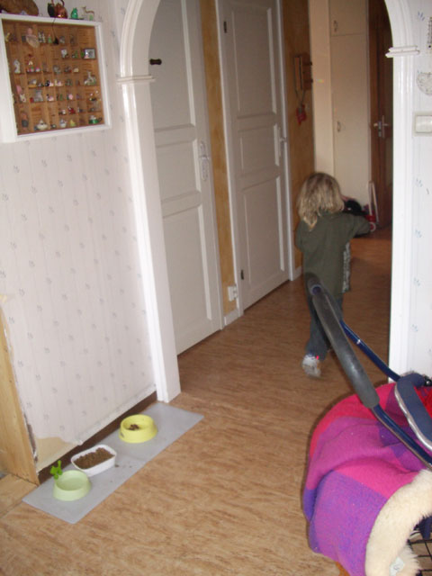 IMGP0983