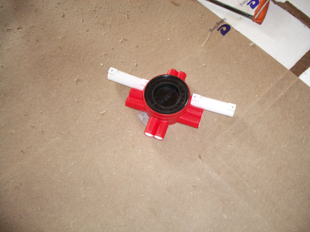 IMGP0629