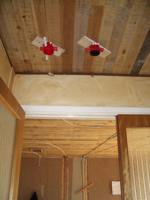 IMGP0631