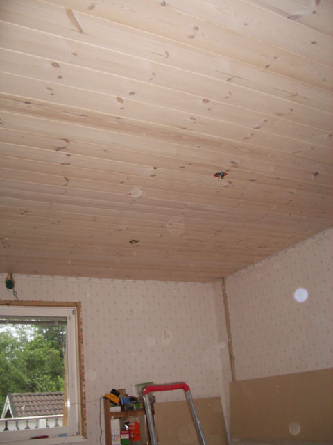 IMGP1686