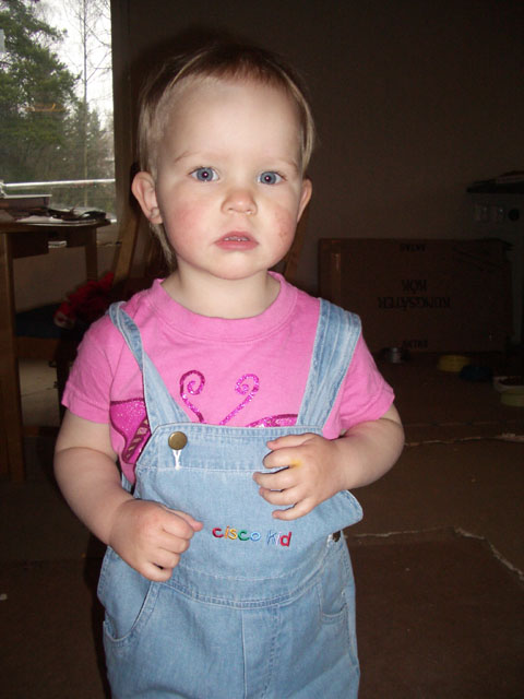 IMGP1295